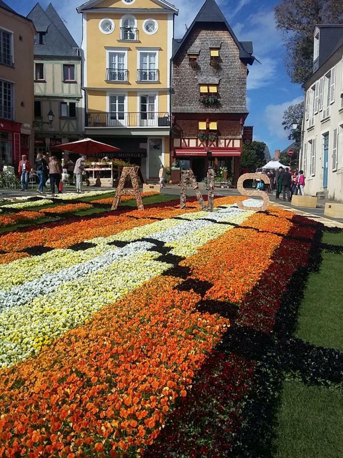 Les Tulipiers, Parking Sécurisé, Lit Queen-Size, bord de Sarthe Le Mans Exterior foto